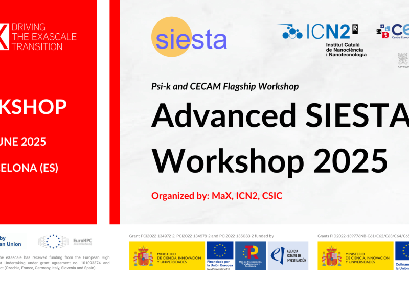 Advanced SIESTA Workshop 2025