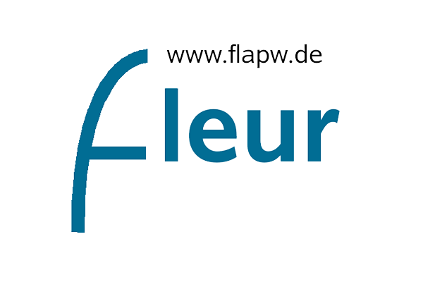 FLEUR: The Jülich FLAPW code family 